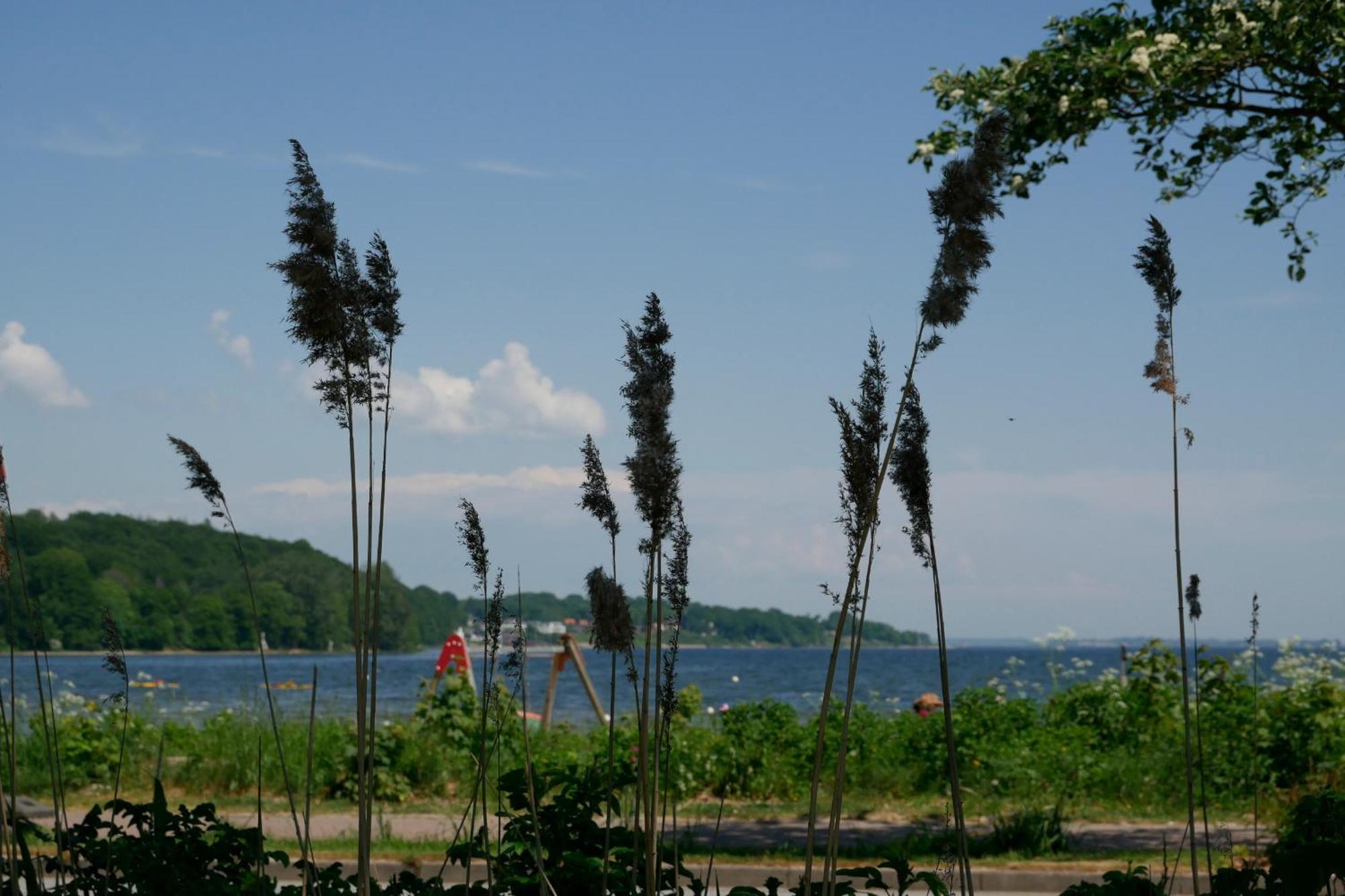 Ostsee, Wunderschoene Wohnung Mit Meerblick Harrislee Luaran gambar